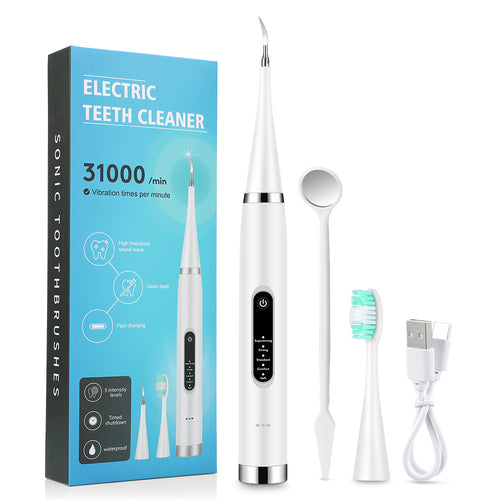Brosse à dents électrique portable