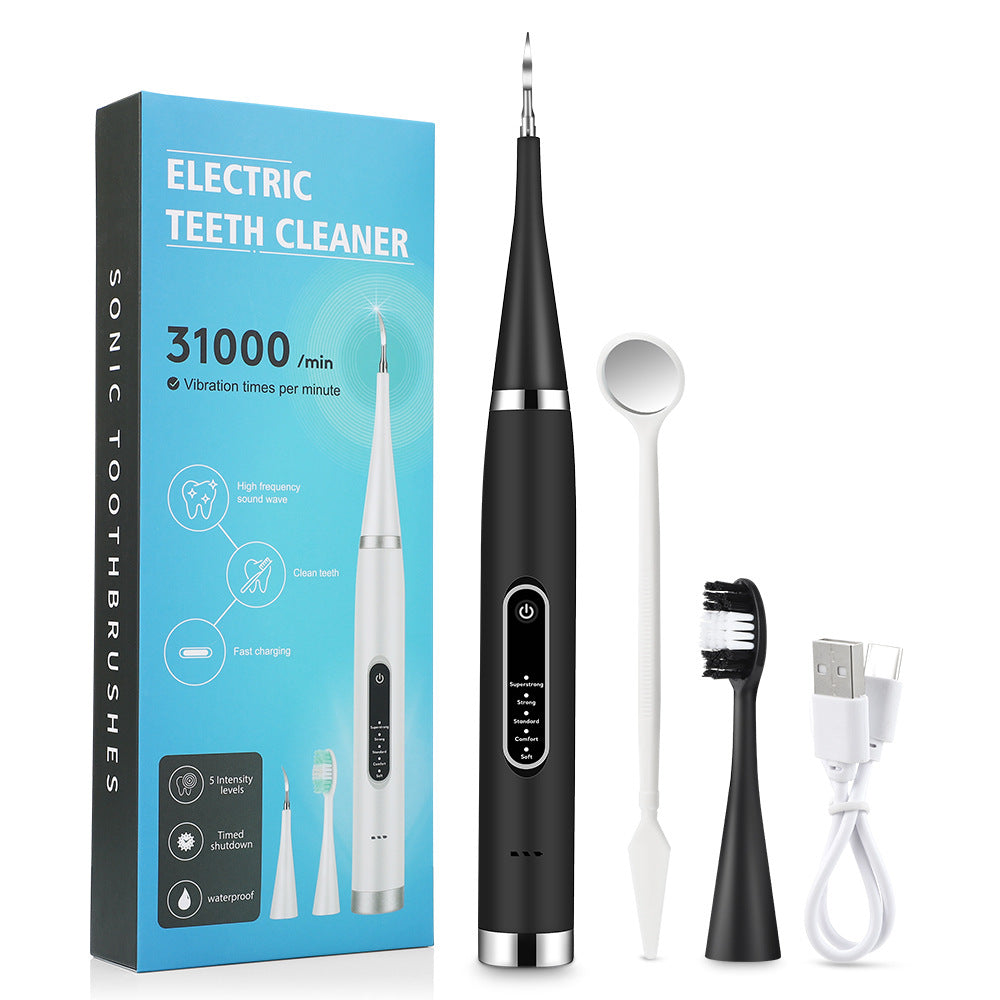 Brosse à dents électrique portable